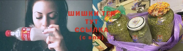 ECSTASY Белокуриха