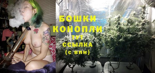 прущие крисы Белоозёрский