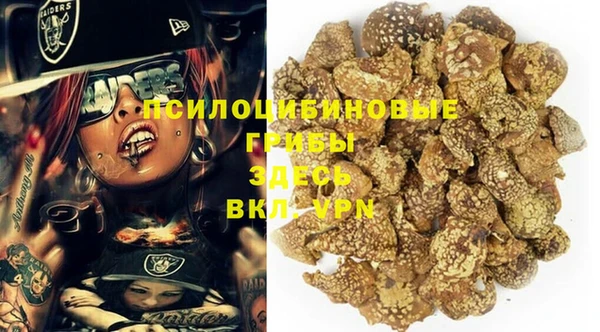 марки lsd Богородицк