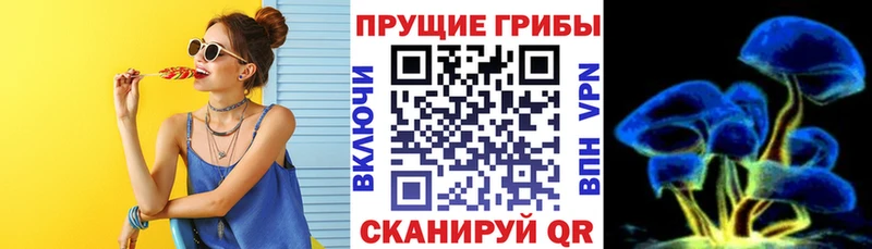 продажа наркотиков  Мглин  Галлюциногенные грибы прущие грибы 